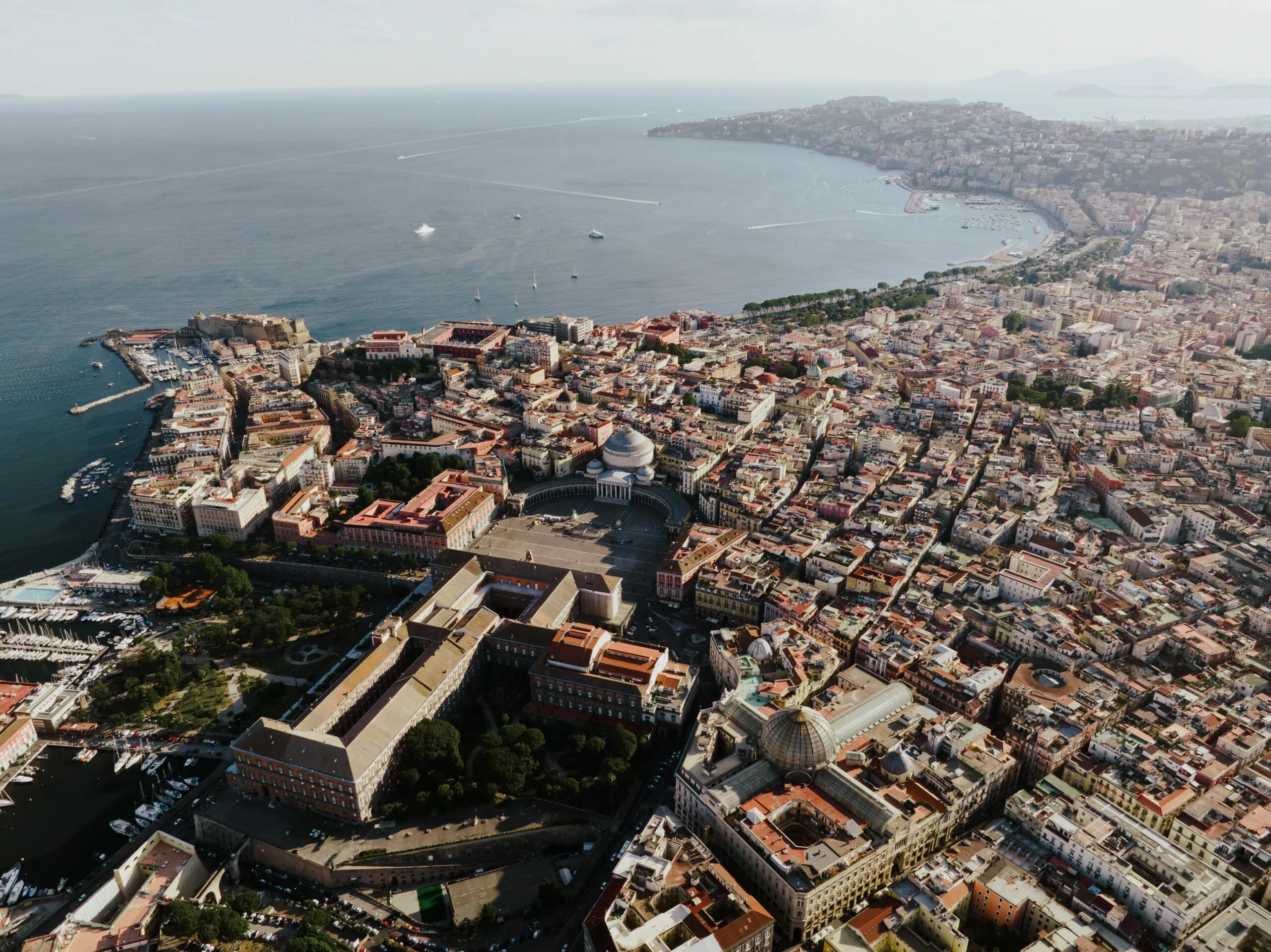 Homy Napoli